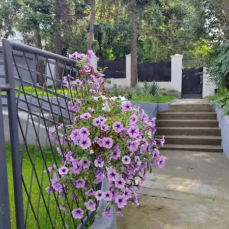 Apartament Magenta Garden